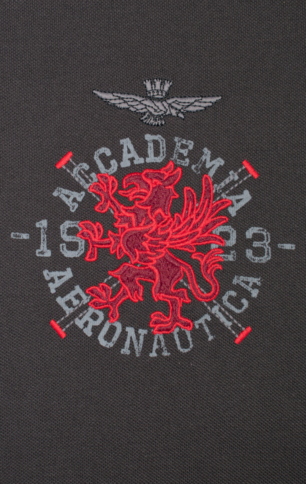 Поло-лонгслив AERONAUTICA MILITARE CORSO GRIFO SS 24/TR anthracite grey (PO 1791) 