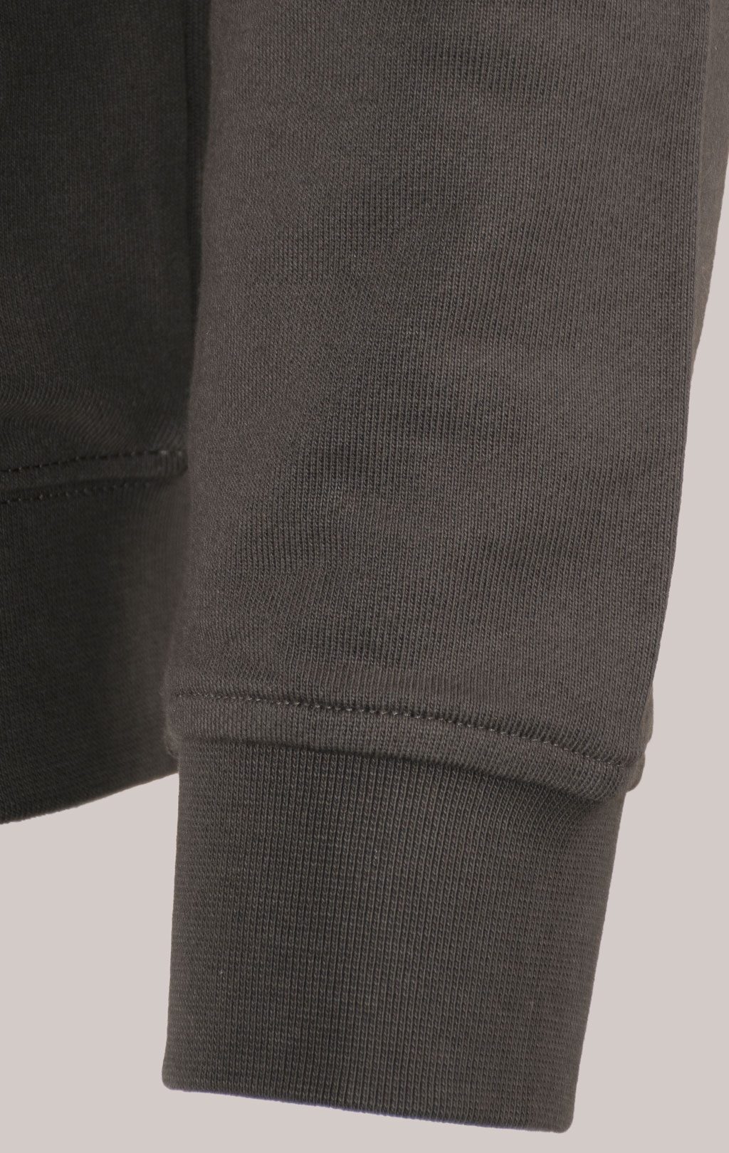 Толстовка с капюшоном AERONAUTICA MILITARE FW 24/25/TR dark musk (FE 1952) 