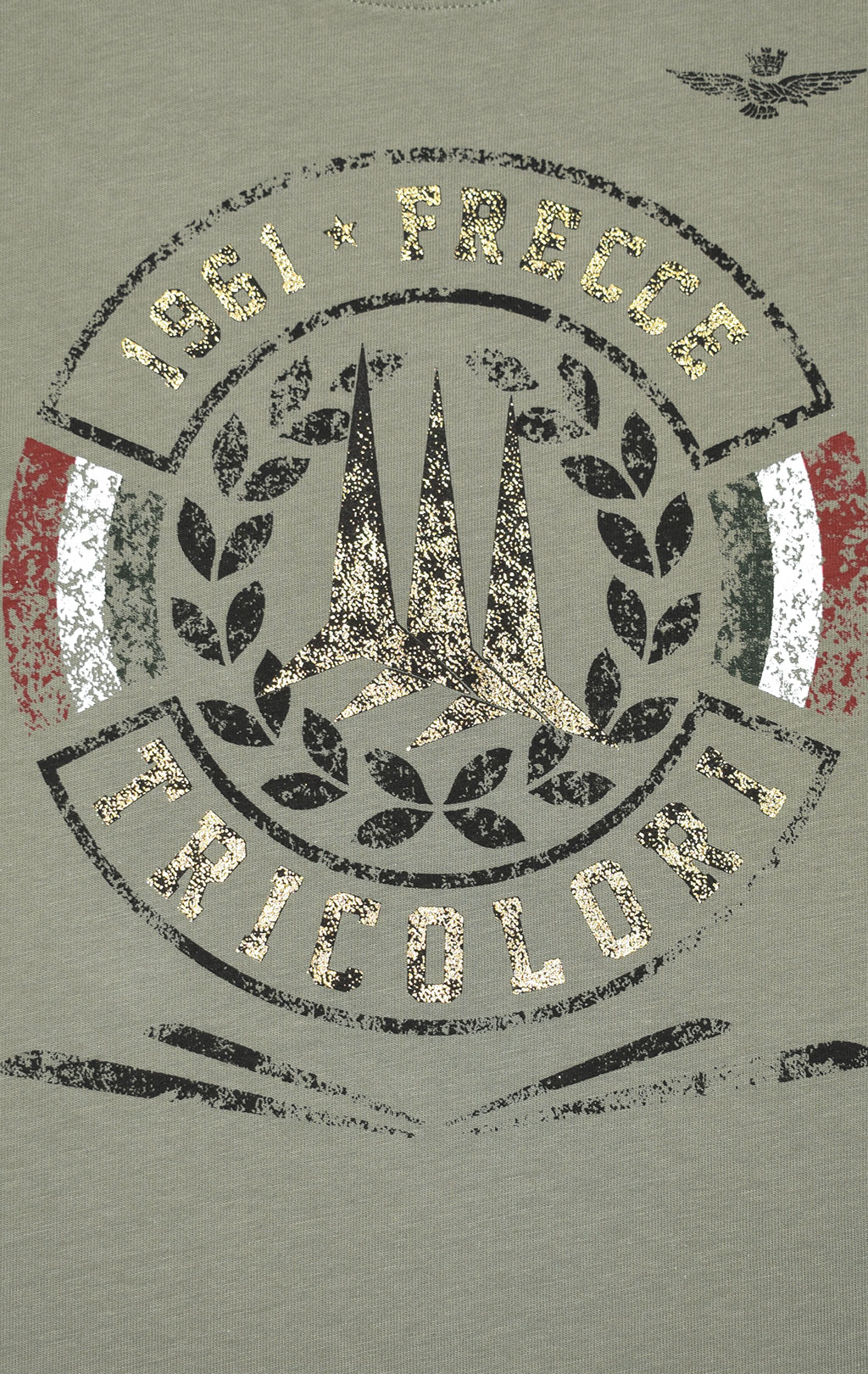 Футболка AERONAUTICA MILITARE FW 20/21/TR verde chiaro (TS 1771) 