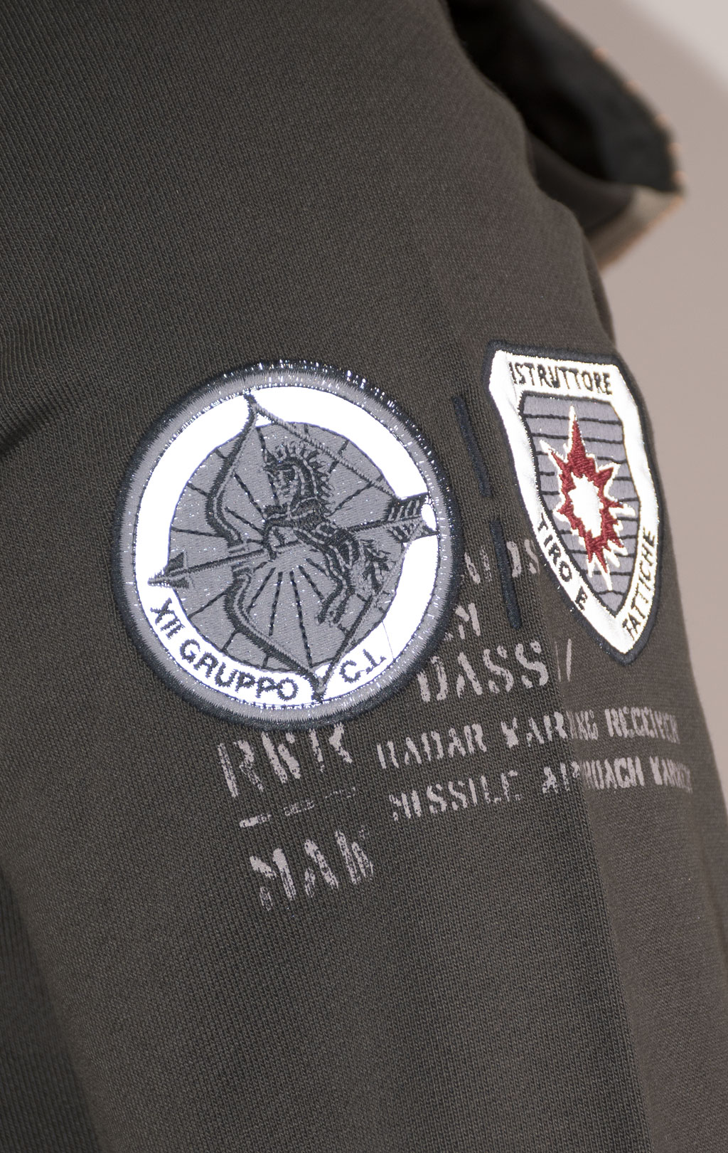 Толстовка с капюшоном AERONAUTICA MILITARE FW 24/25/TR dark musk (FE 1952) 