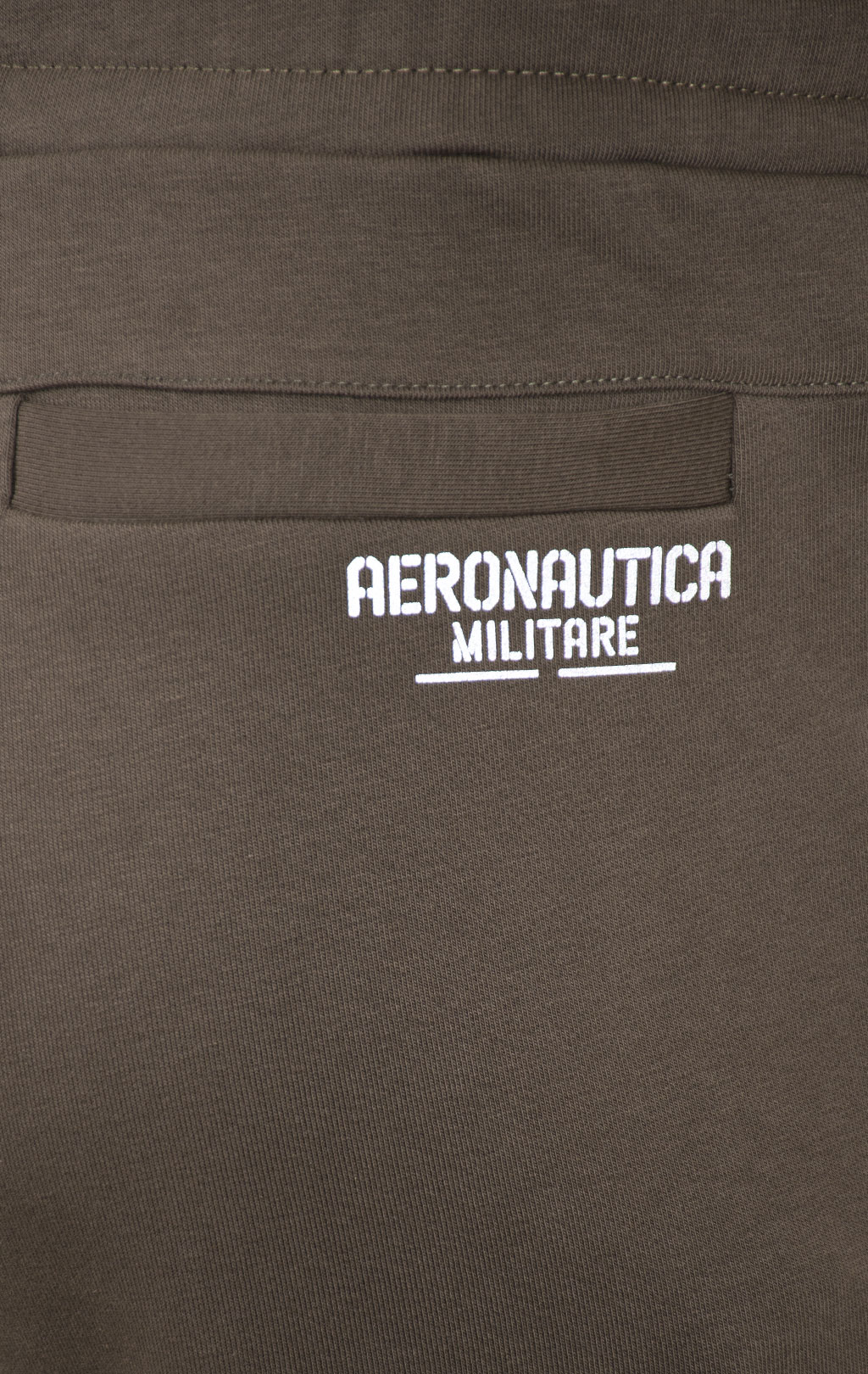 Брюки спортивные AERONAUTICA MILITARE FW 24/25/IT dark musk (PF 946) 