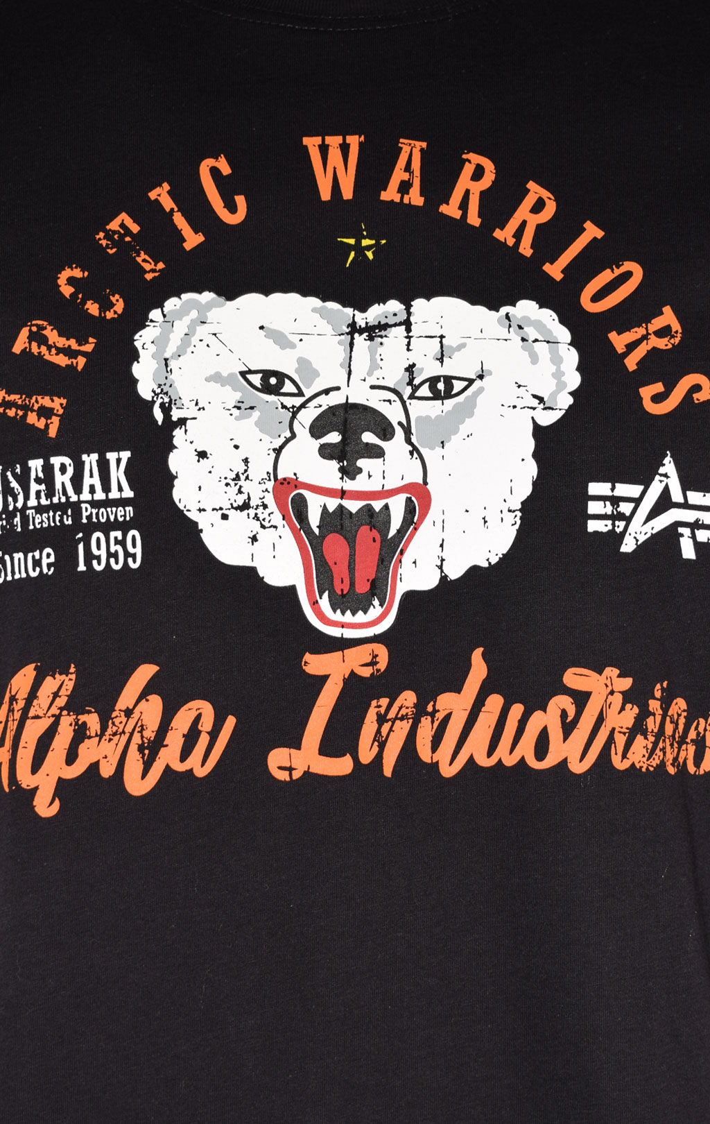 Футболка ALPHA INDUSTRIES ARCTIC WARRIORS T black 