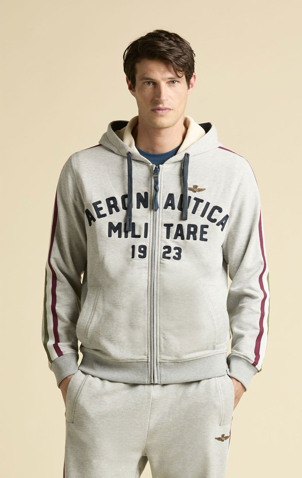 Толстовка с капюшоном AERONAUTICA MILITARE FW 25/26/TR grigio melange (FE 2070) 