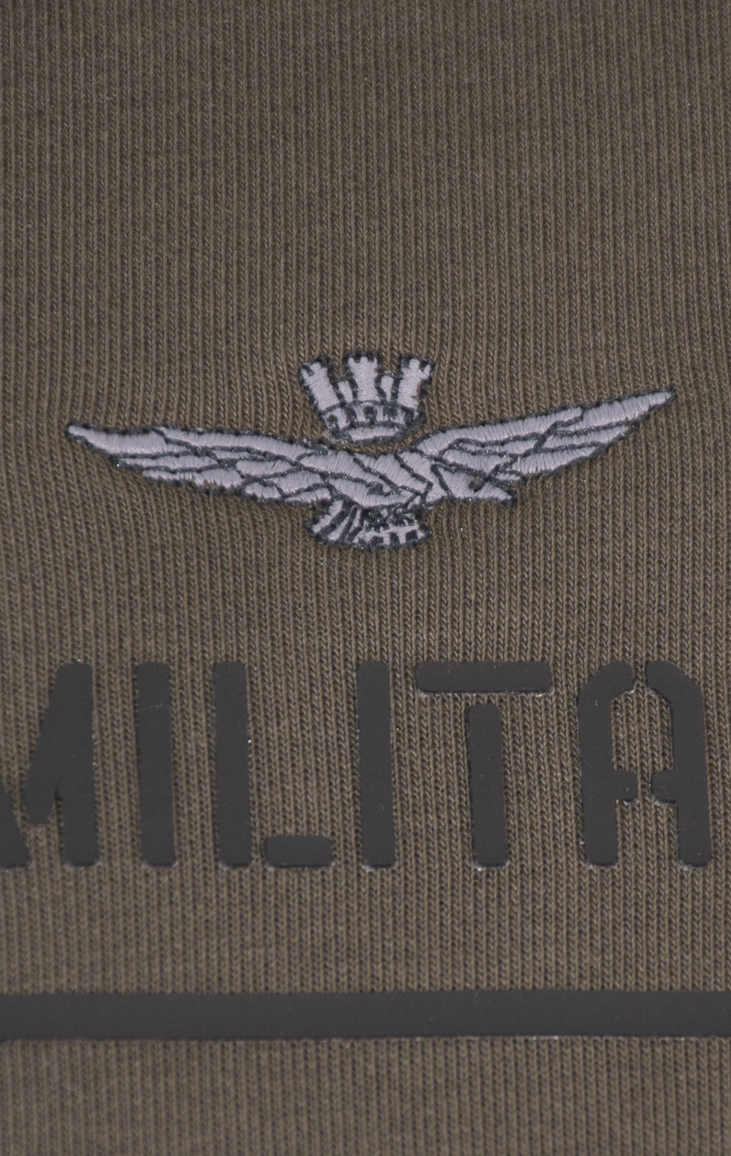 Толстовка с капюшоном AERONAUTICA MILITARE big size FW 24/25/IT dark musk (AF 496) 