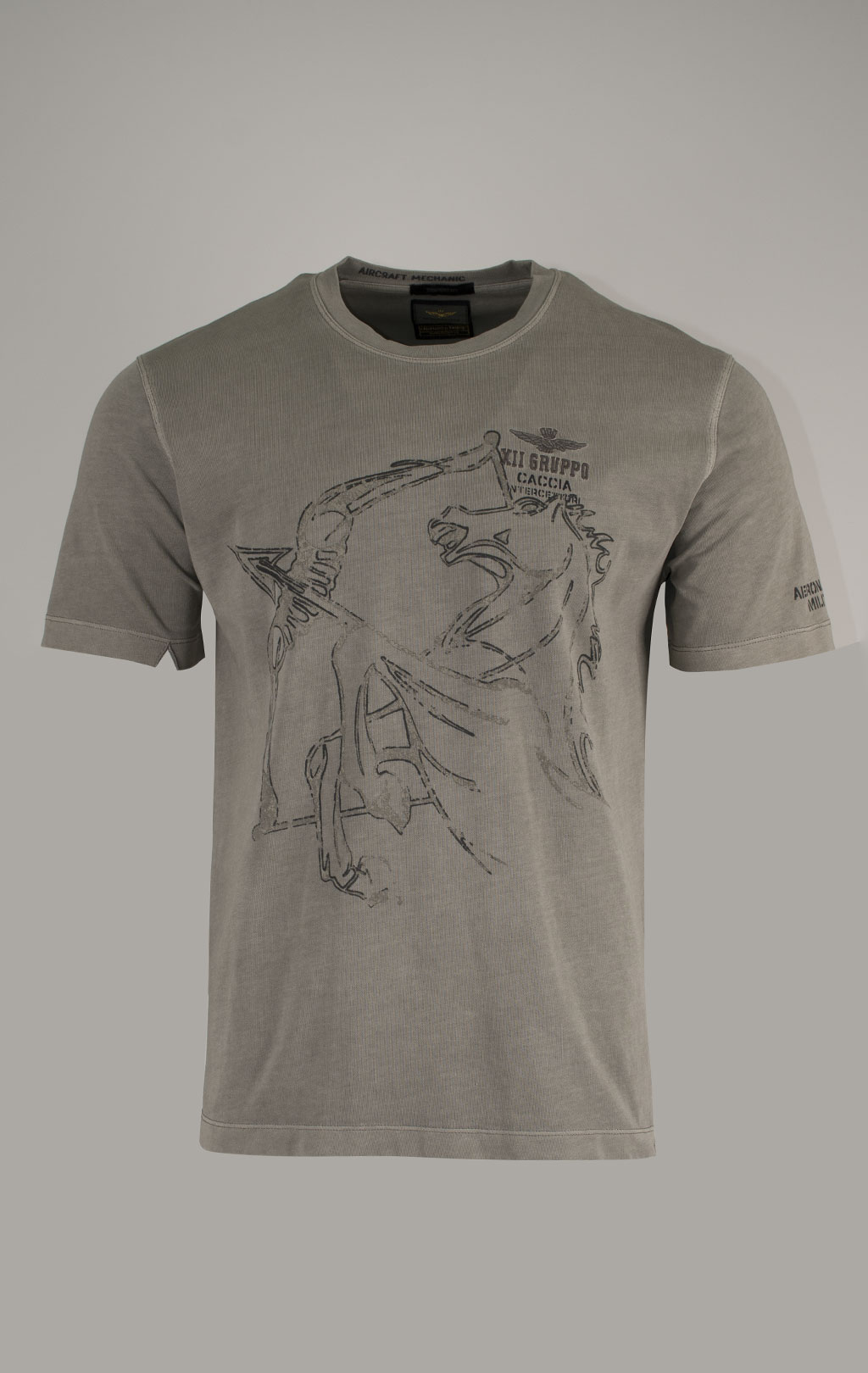 Футболка AERONAUTICA MILITARE FW 24/25/TR light mud washed (TS 2338) 