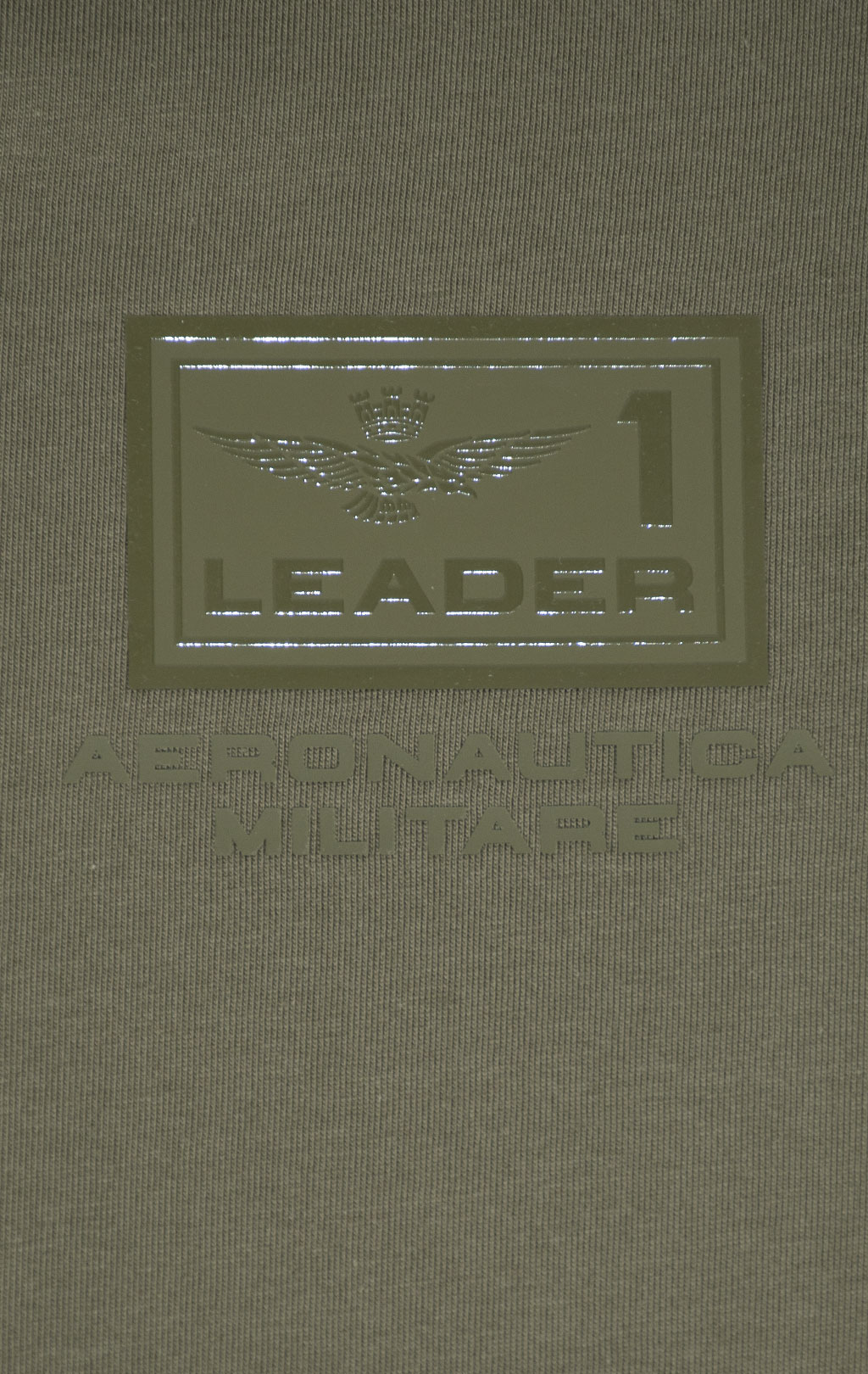 Футболка AERONAUTICA MILITARE SS 25 m/IT military olive (TS 2419) 