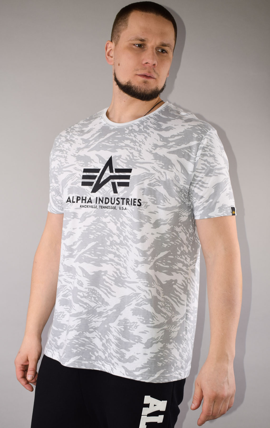 Футболка ALPHA INDUSTRIES BASIC T CAMO brushstroke white 