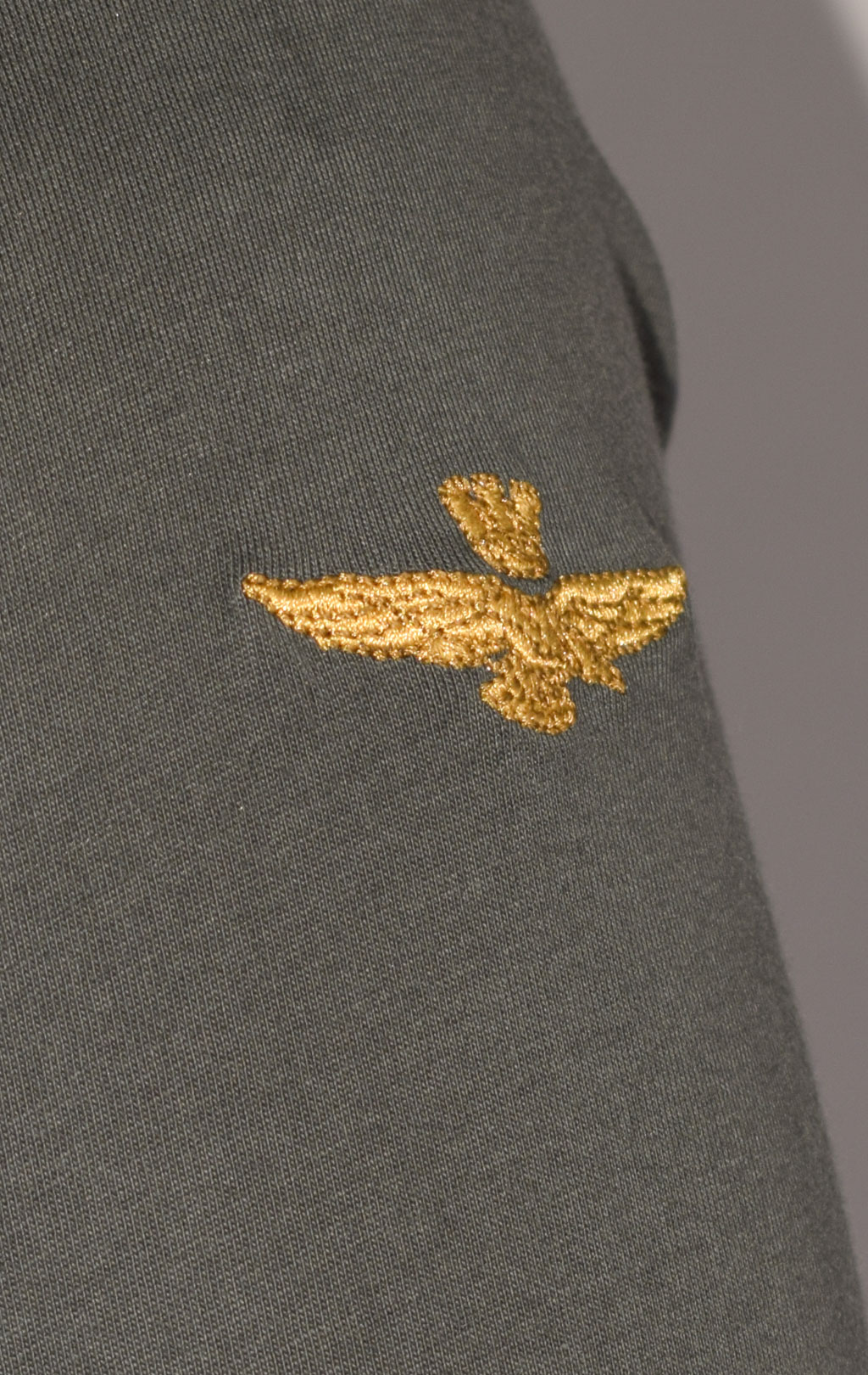 Лонгслив AERONAUTICA MILITARE FW 23/24/BD dark green (TS 2187)