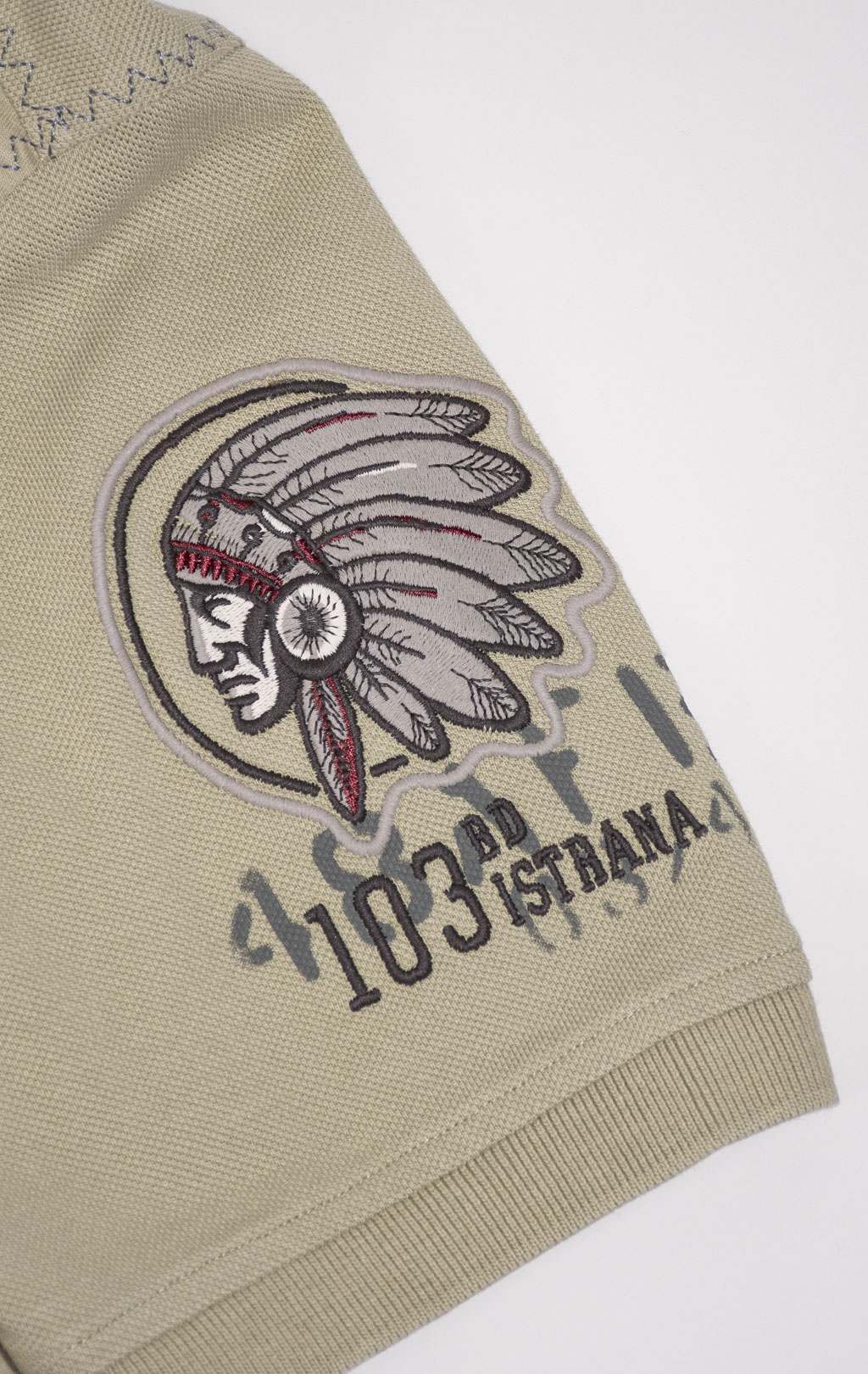 Футболка-поло AERONAUTICA MILITARE INDIAN PRINT SS 24 m/TR sage green (PO 1781) 