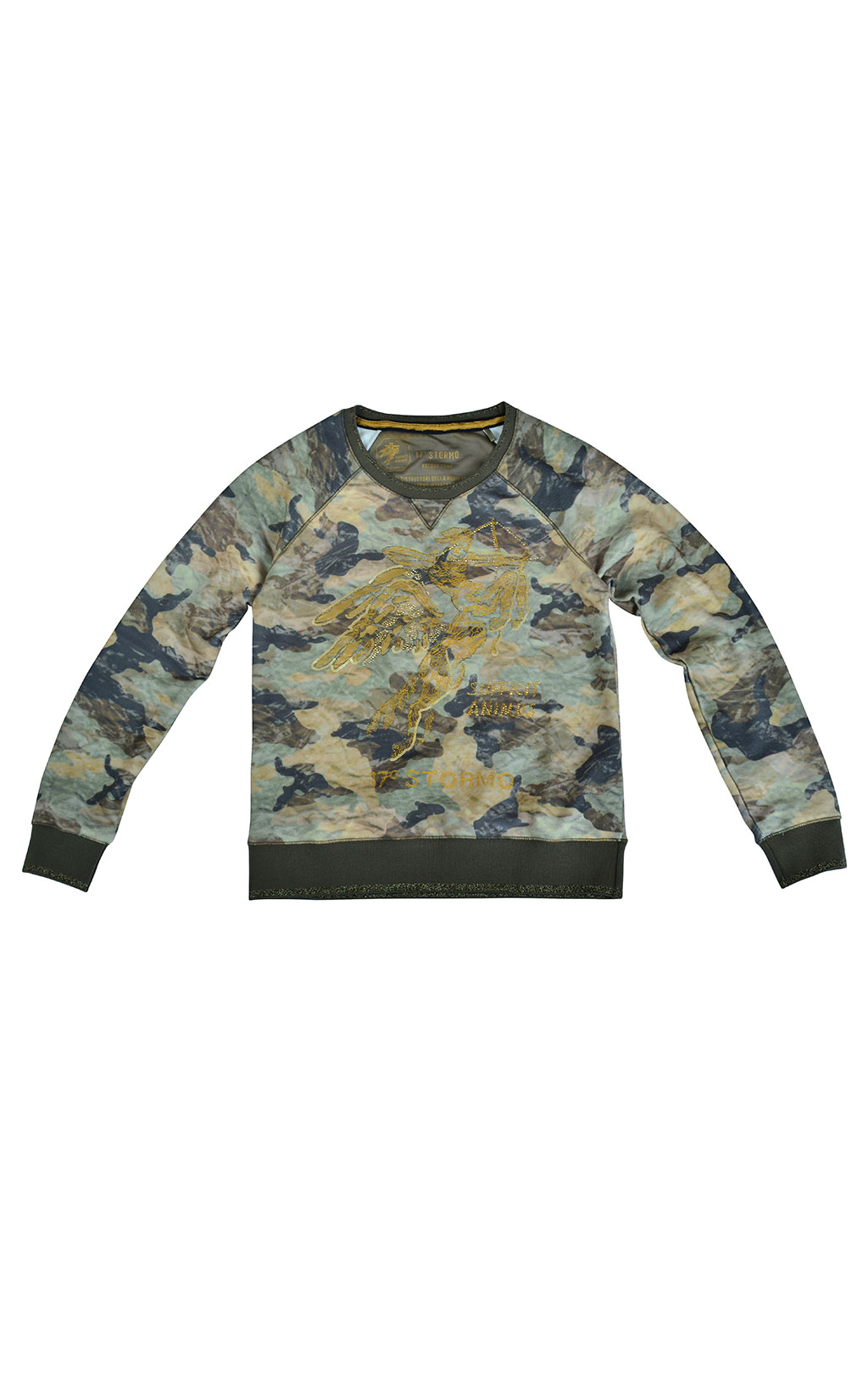 Женский свитшот AERONAUTICA MILITARE camouflage beige (FE 1224) 