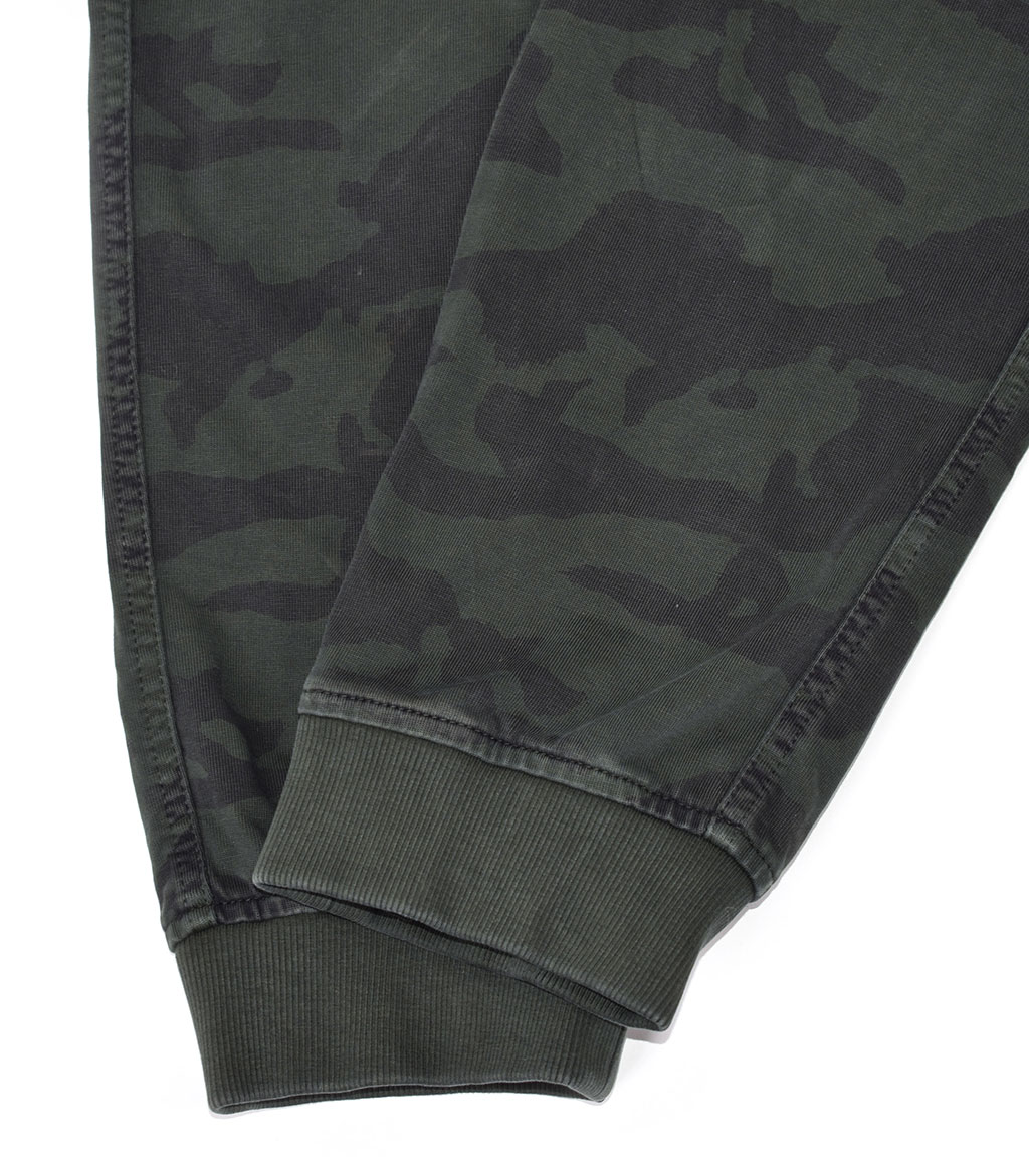 Брюки-карго AERONAUTICA MILITARE SS 20/AL camouflage AM23 (PF 743) 