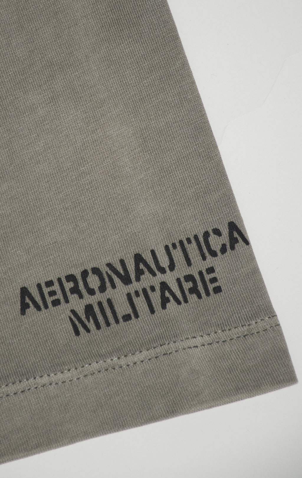 Футболка AERONAUTICA MILITARE FW 24/25/TR light mud washed (TS 2338) 