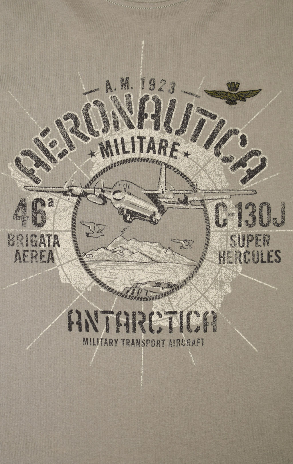 Футболка AERONAUTICA MILITARE ANTARCTICA FW 23/24/BD light green (TS 2136) 