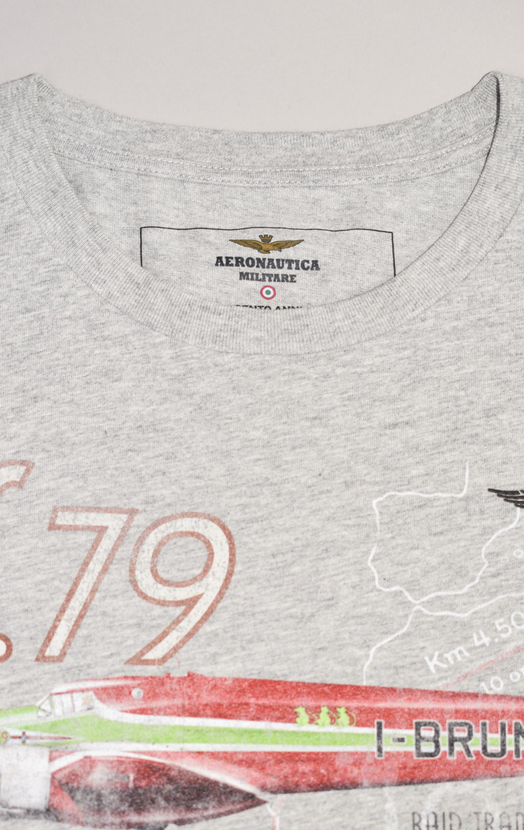 Футболка AERONAUTICA MILITARE big size SS 23/IT юбилейная в подарочной упаковке grigio melange (TS 2125) 