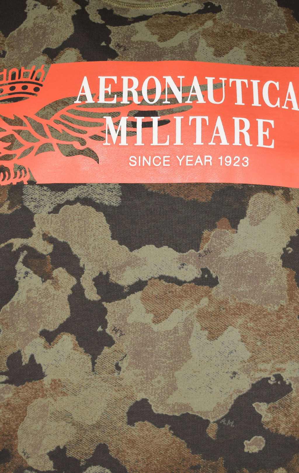 Свитшот AERONAUTICA MILITARE SS 22/BD camouflage pilot (FE 1669) 