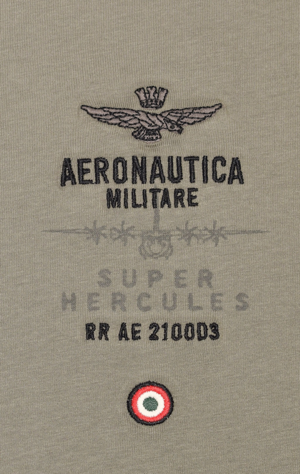 Футболка AERONAUTICA MILITARE big size FW 23/24/BD light green (TS 2135) 