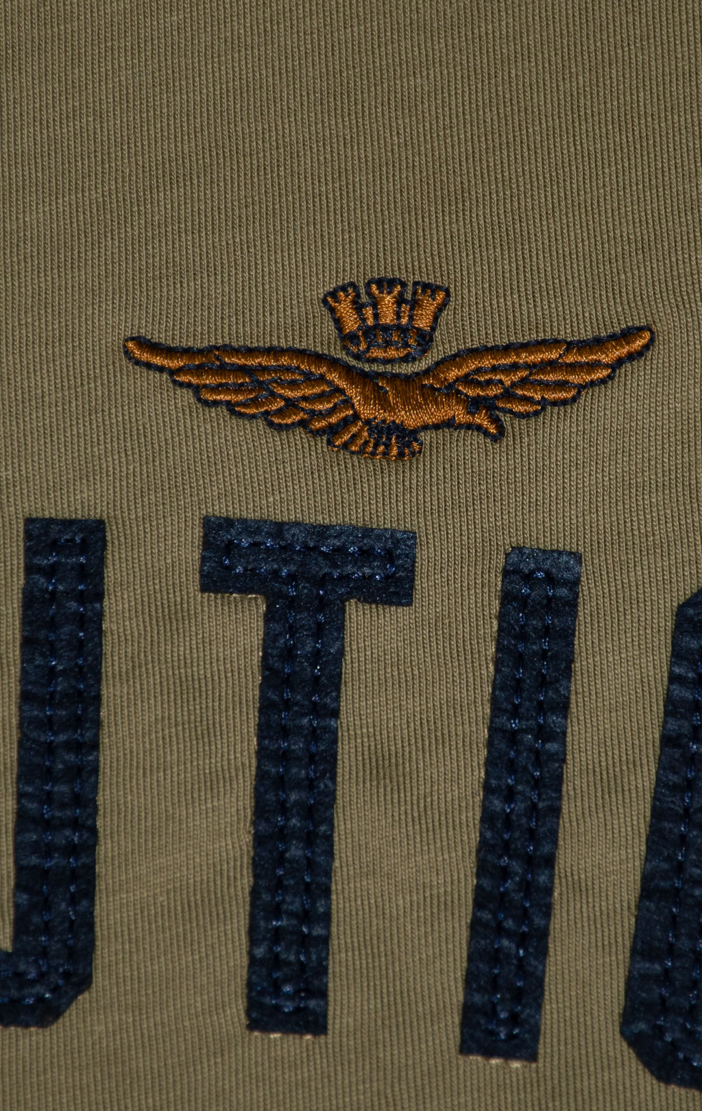 Футболка AERONAUTICA MILITARE FW 25/26/BD colonial abbey (TS 2478) 
