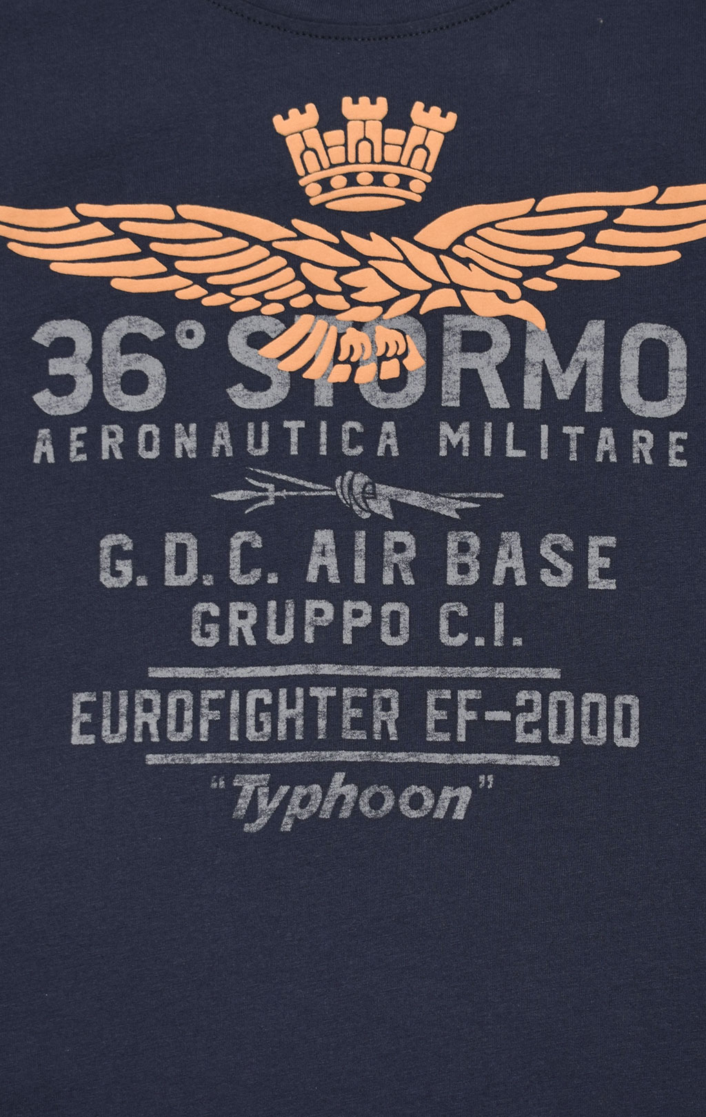 Футболка AERONAUTICA MILITARE SS 21/TR blue black (TS 1867) 