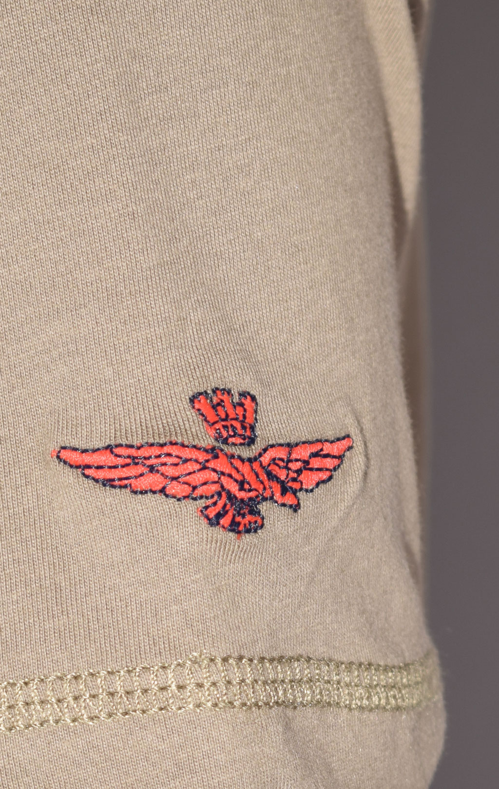 Футболка AERONAUTICA MILITARE FW 22/23/BD tortora (TS 2022) 
