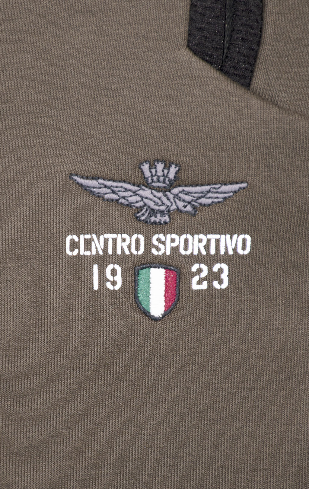 Брюки спортивные AERONAUTICA MILITARE FW 24/25/IT dark musk (PF 946) 