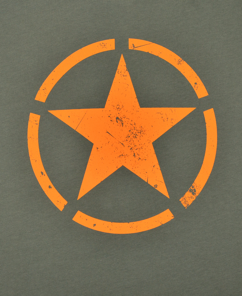 Футболка ALPHA INDUSTRIES STAR T dark olive 