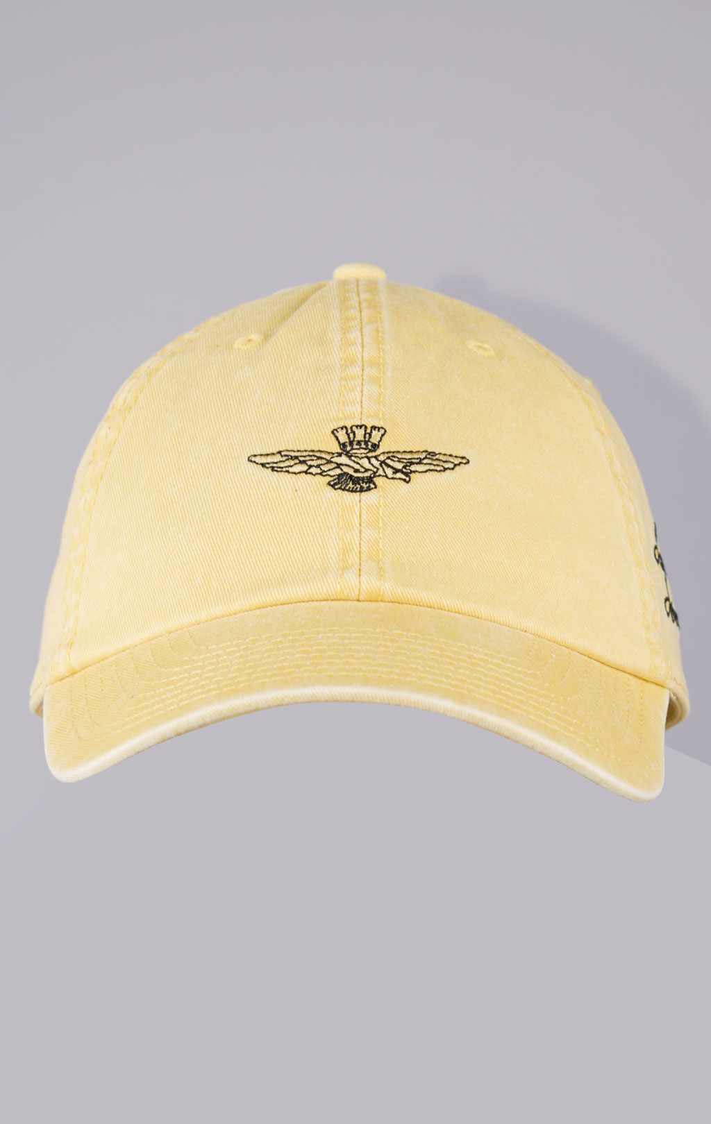 Бейсболка AERONAUTICA MILITARE SS 24/CN yellow washed (HA 1161) 