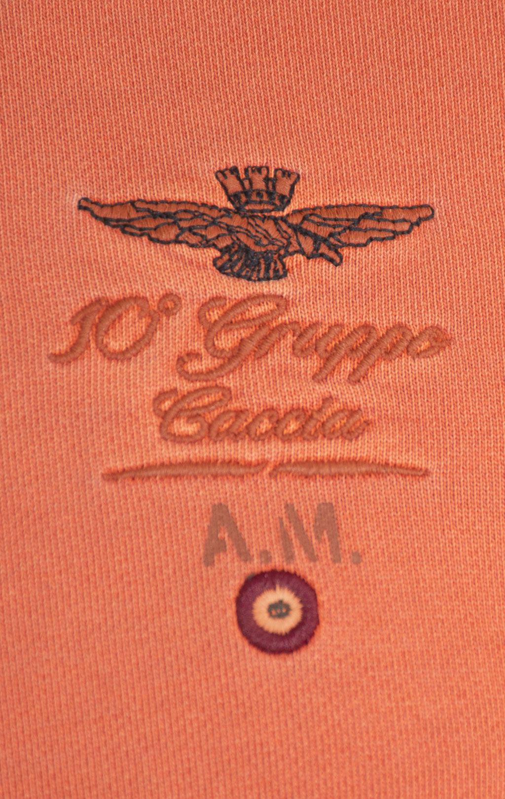 Свитшот AERONAUTICA MILITARE FW 24/25/TR spiced orange washed (FE 1936) 