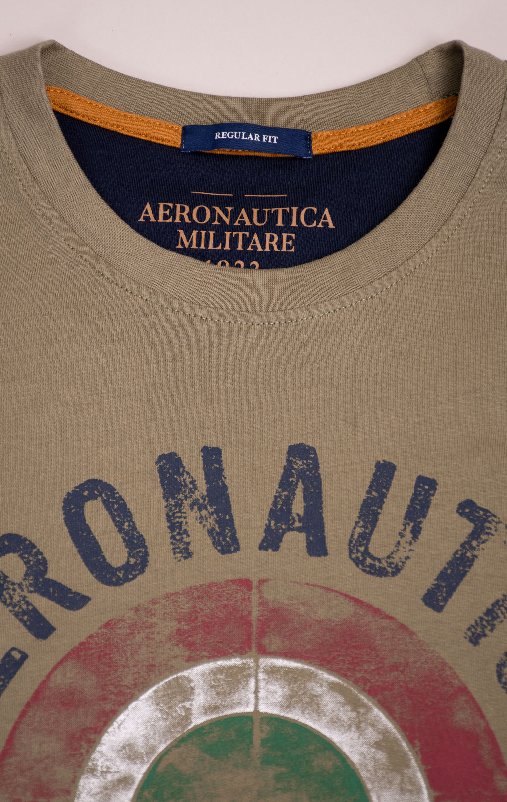 Футболка AERONAUTICA MILITARE big size SS 26/BD lichen green (TS 2538) 
