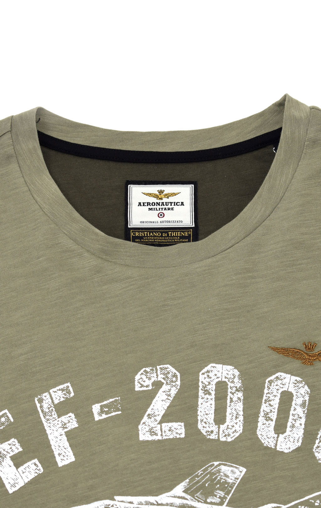 Футболка AERONAUTICA MILITARE SS 21/TR green (TS 1865) 