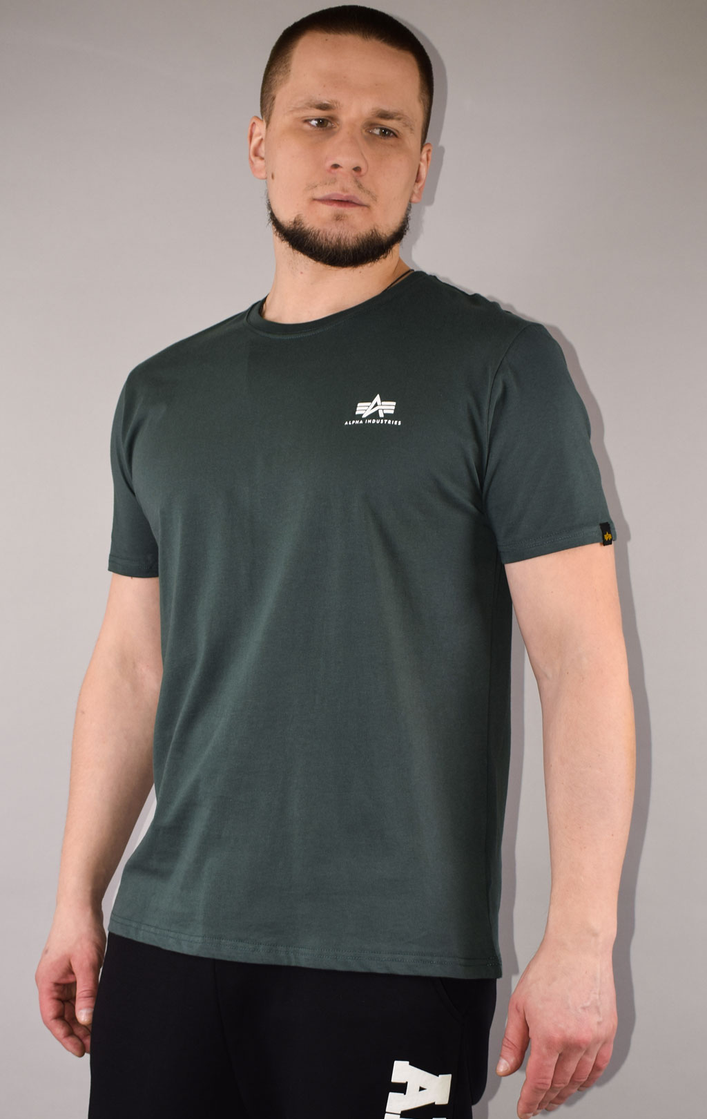 Футболка ALPHA INDUSTRIES BASIC T SMALL LOGO navy green 