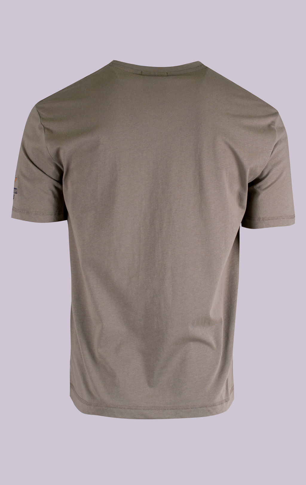 Футболка AERONAUTICA MILITARE SS 26/BD lichen green (TS 2529) 