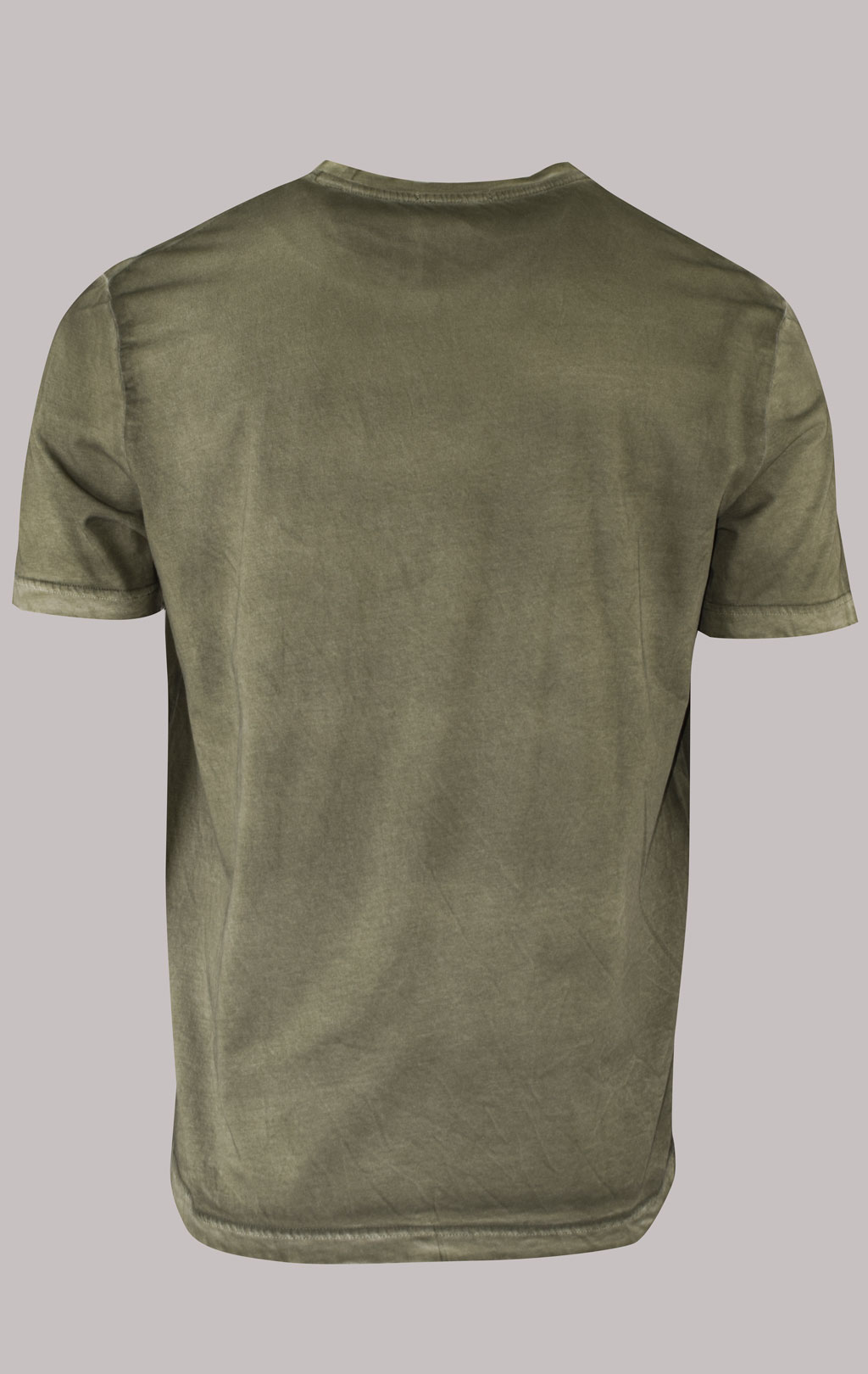 Футболка AERONAUTICA MILITARE big size SS 23/IN verde (TS 2073) 
