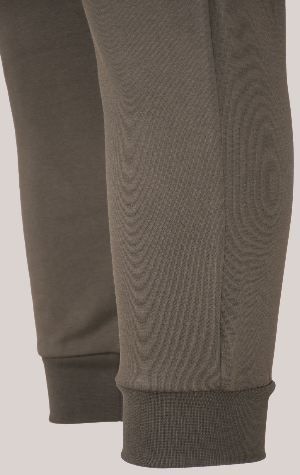 Брюки спортивные AERONAUTICA MILITARE FW 24/25/IT dark musk (PF 946) 
