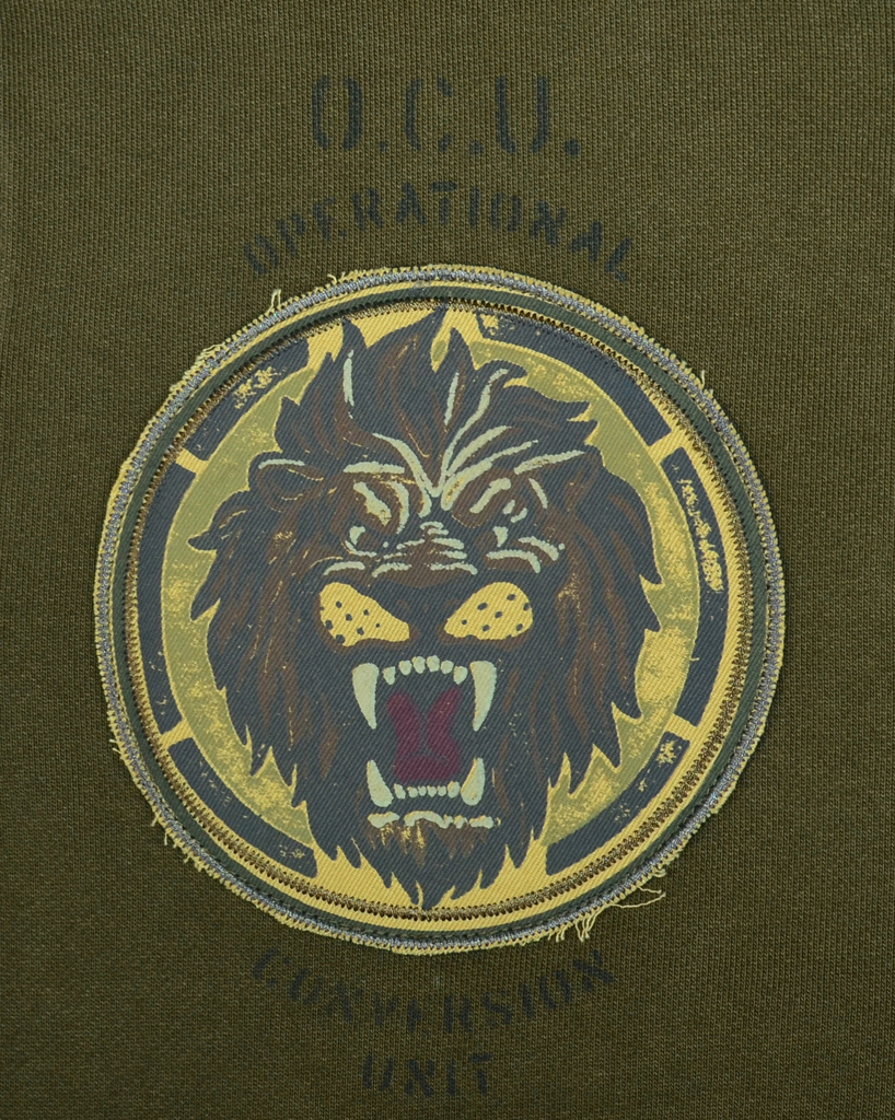 Толстовка с капюшоном AERONAUTICA MILITARE verde militare (FE 1209) 