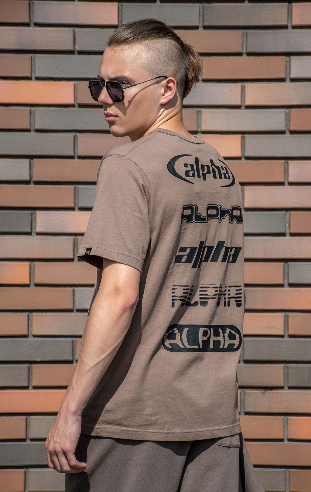 Футболка ALPHA INDUSTRIES ALPHA LOGOS TEE плотная FW 24/25 coyote brown 