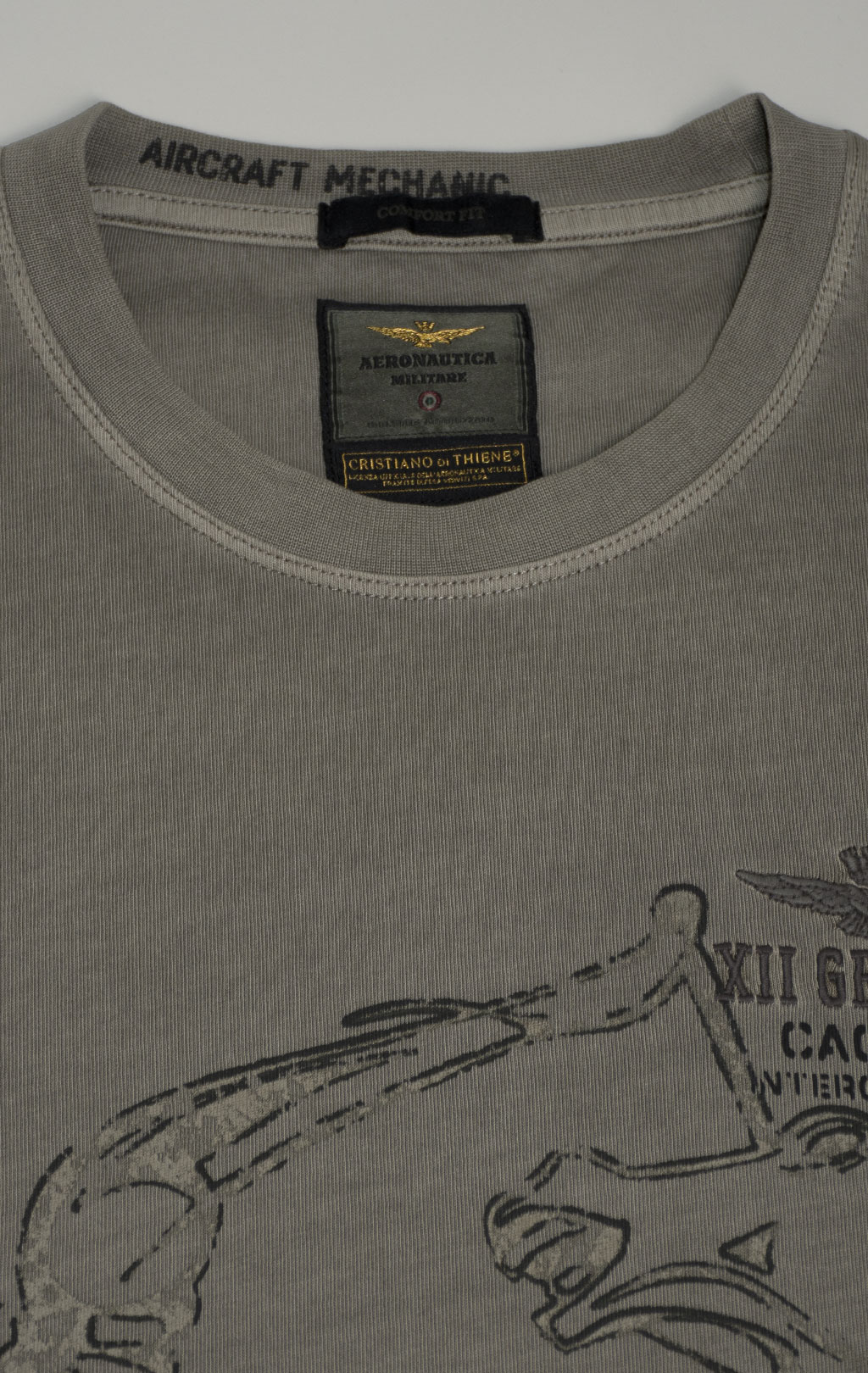 Футболка AERONAUTICA MILITARE FW 24/25/TR light mud washed (TS 2338) 