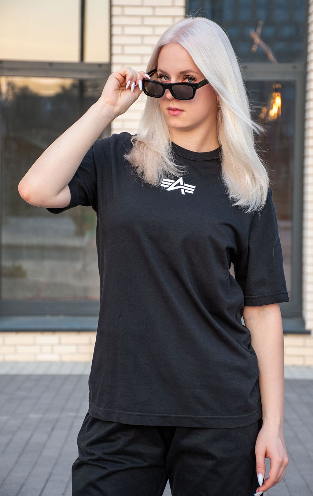 Футболка ALPHA INDUSTRIES BORN OF PURPOSE TEE плотная FW 24/25 black 