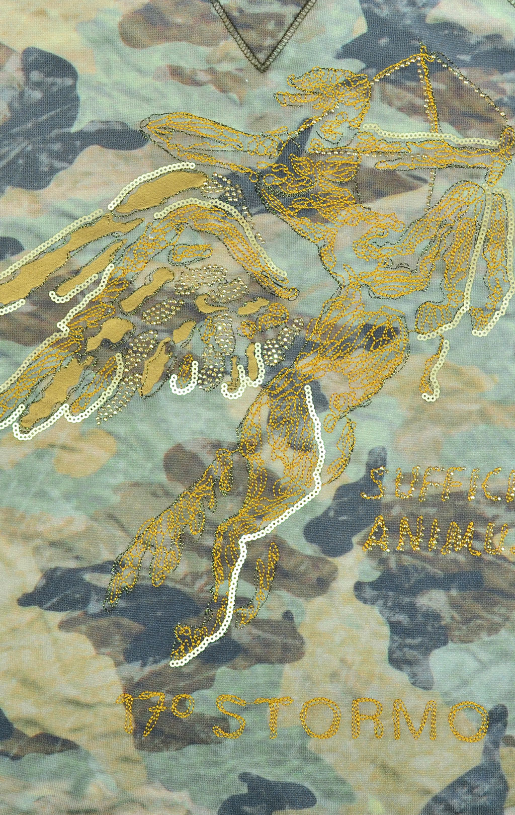 Женский свитшот AERONAUTICA MILITARE camouflage beige (FE 1224) 