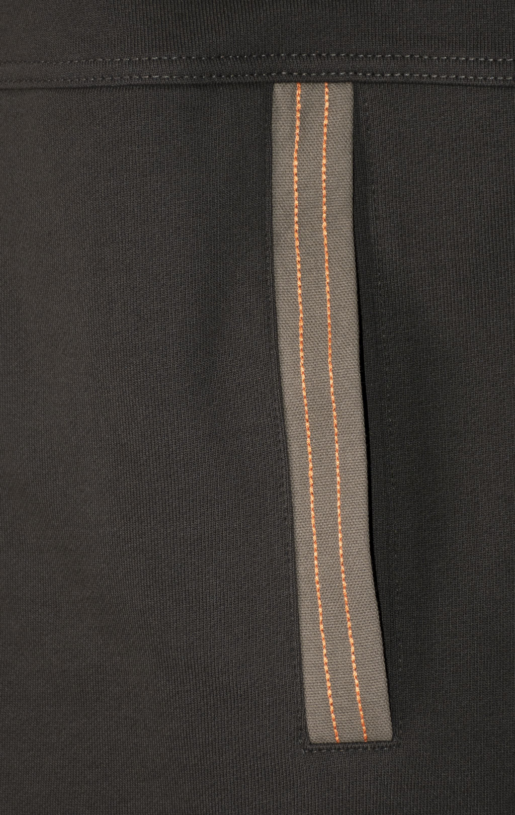 Толстовка с капюшоном AERONAUTICA MILITARE FW 24/25/TR dark musk (FE 1952) 