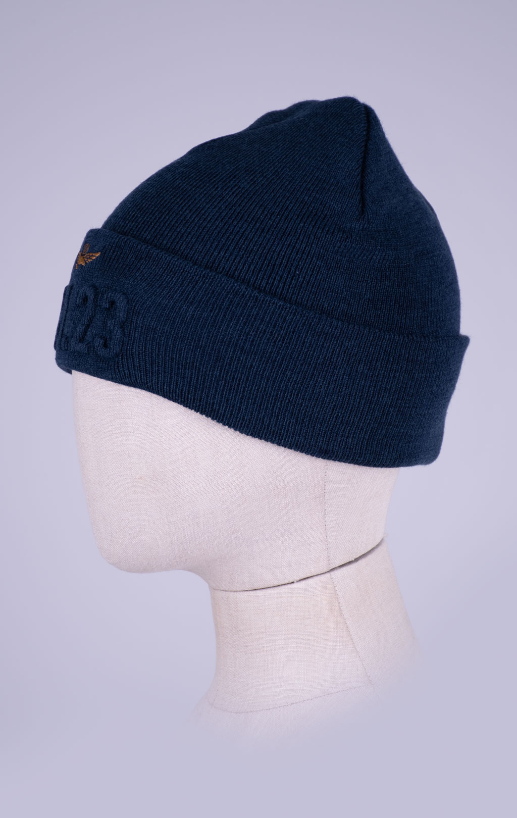 Шапка вязаная AERONAUTICA MILITARE FW 26/27/CN blue navy (CU 0099) 