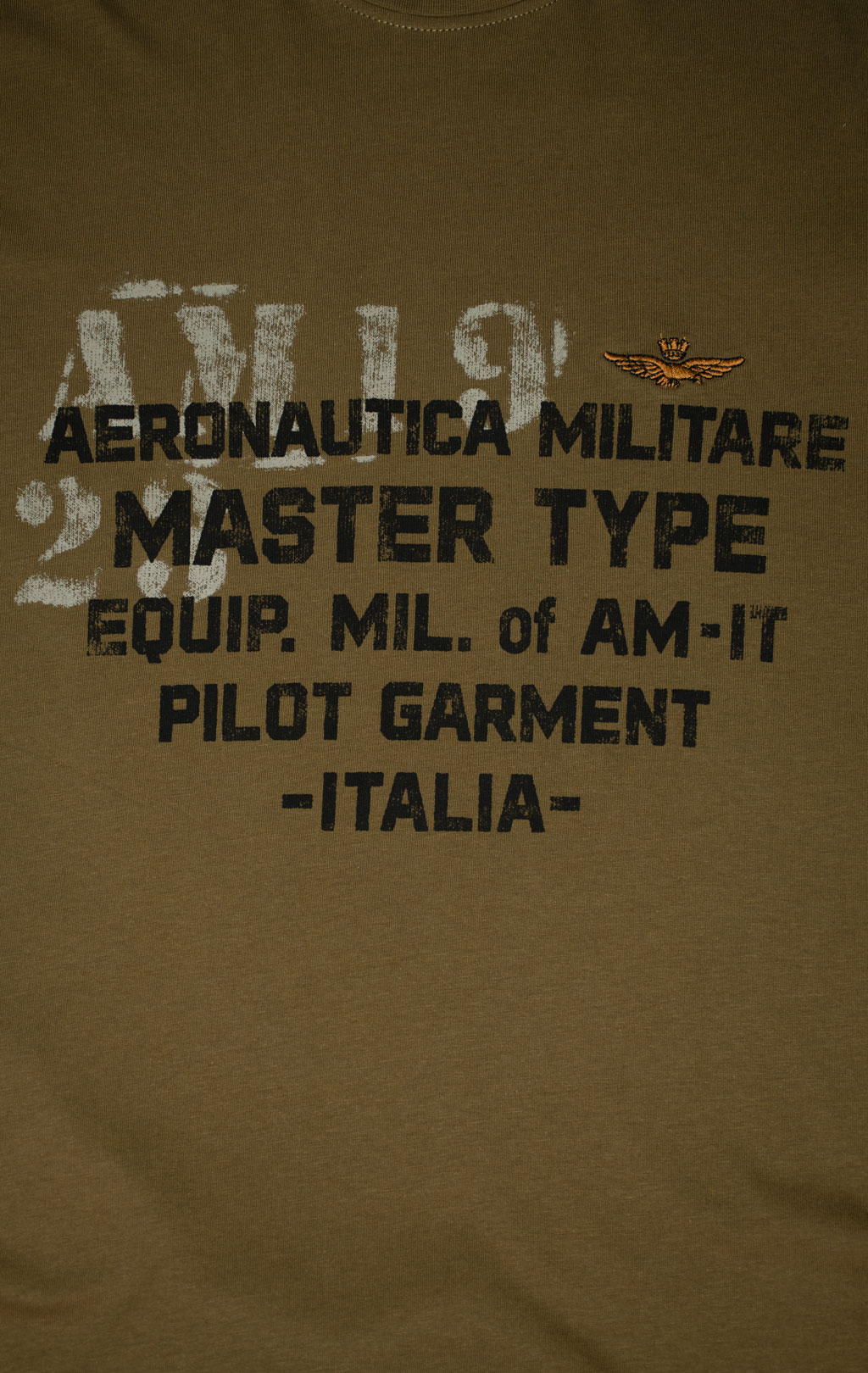 Футболка AERONAUTICA MILITARE FW 25/26/BD dark olive (TS 2479) 