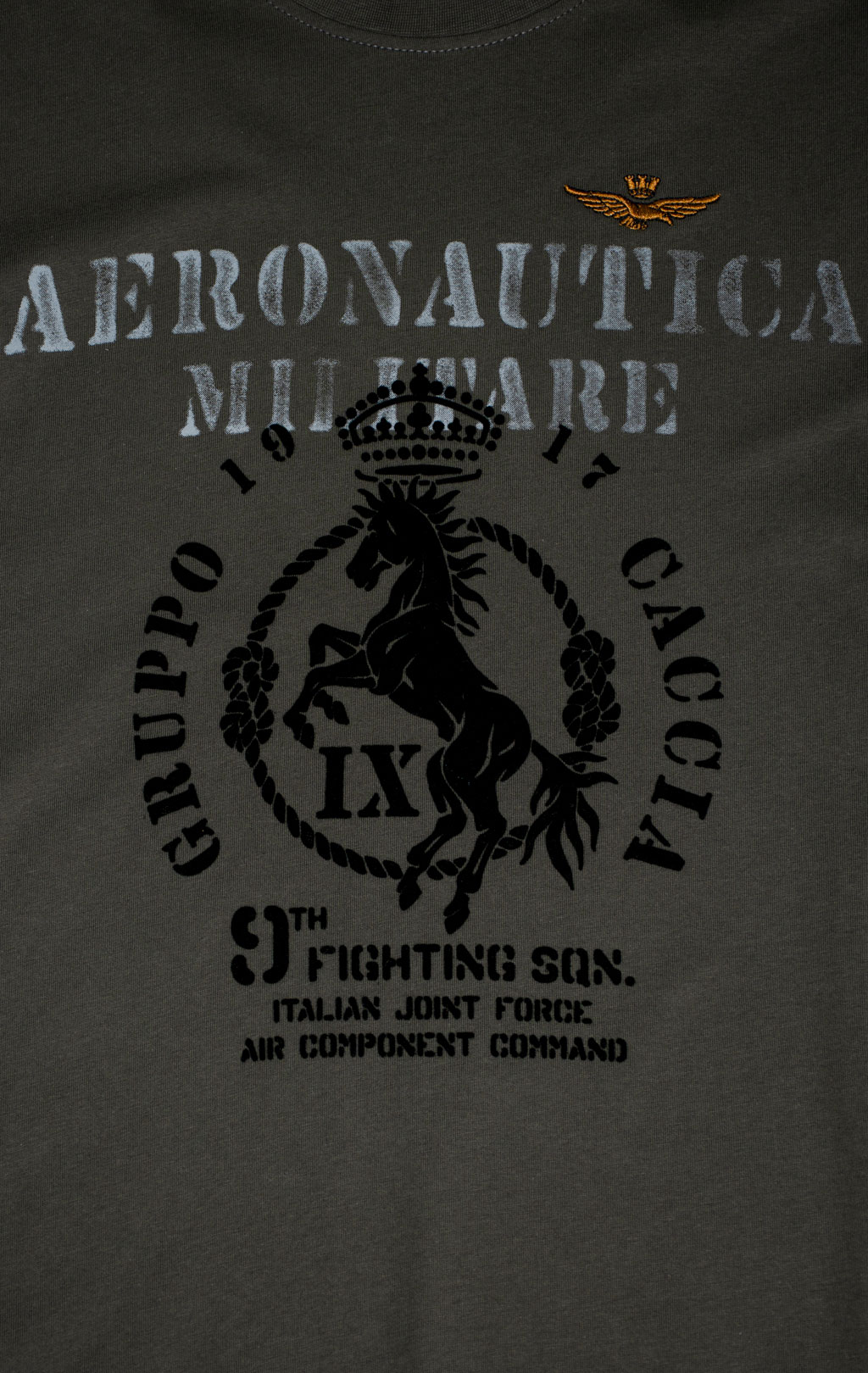 Лонгслив AERONAUTICA MILITARE FW 25/26/BD beluga grey (TS 2471) 