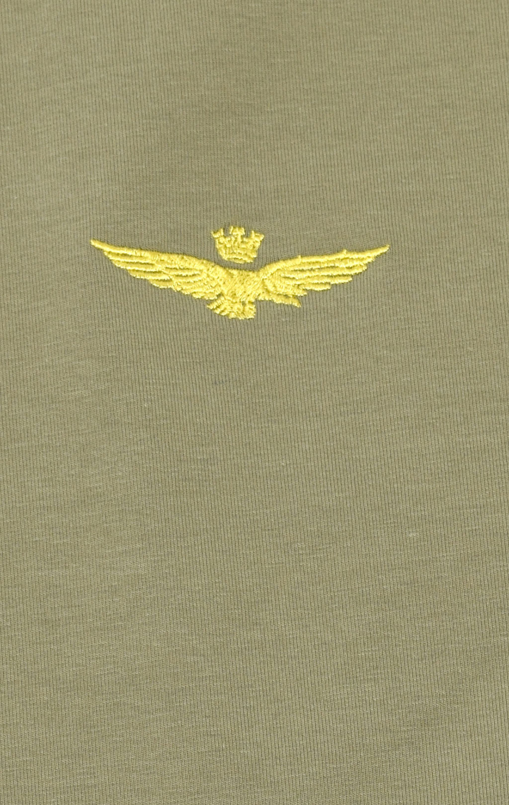 Футболка AERONAUTICA MILITARE SS 21/TR green (TS 1816) 