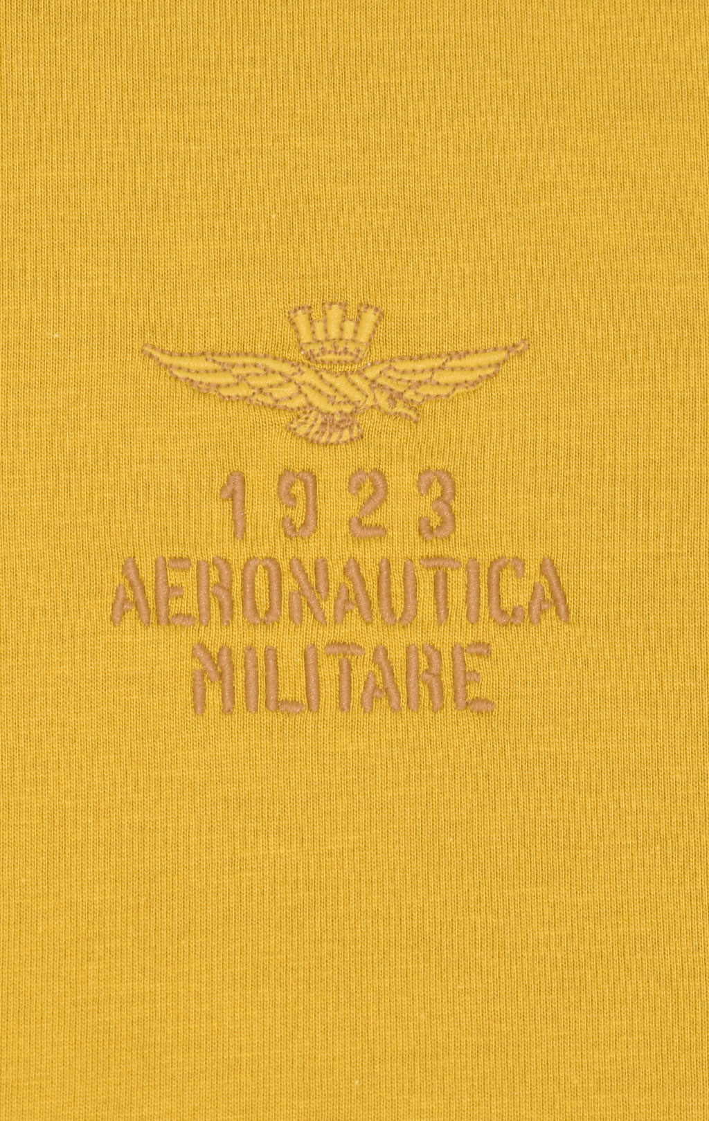 Футболка AERONAUTICA MILITARE FW 23/24/TR yellow (TS 2129) 