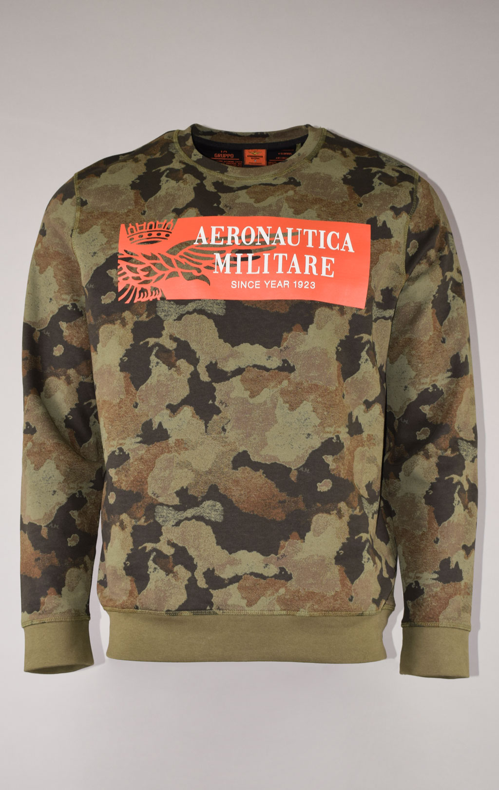 Свитшот AERONAUTICA MILITARE SS 22/BD camouflage pilot (FE 1669) 