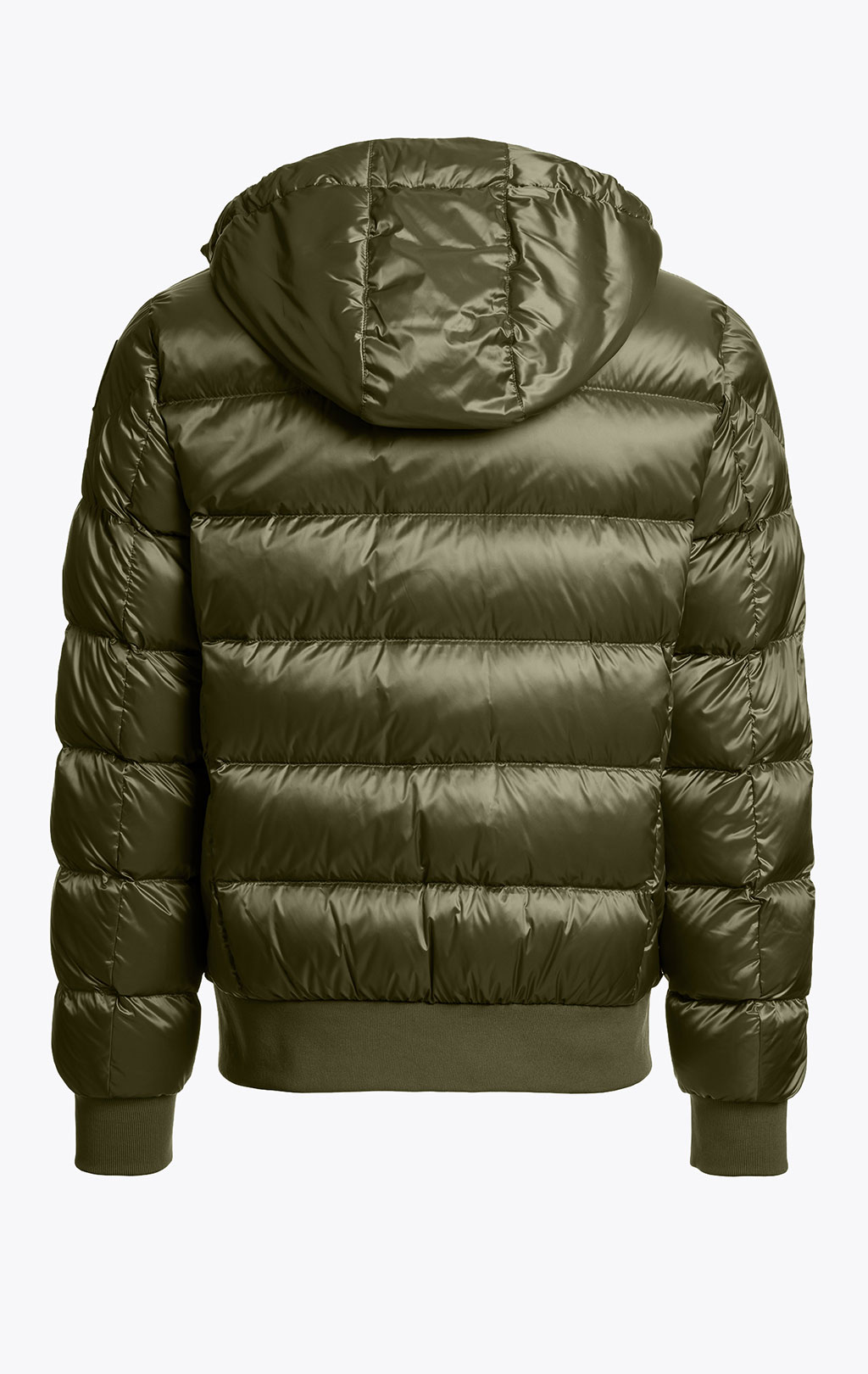 Куртка-пуховик PARAJUMPERS PHARRELL FW 26/27 rosemary 