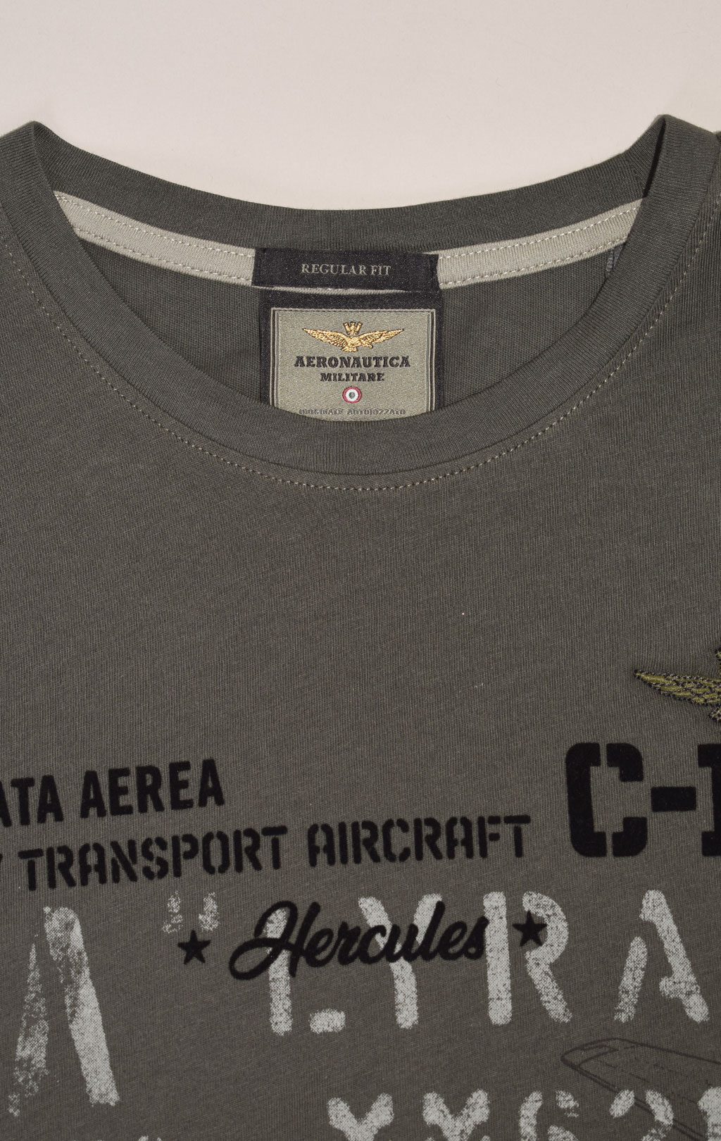 Футболка AERONAUTICA MILITARE FW 23/24/BD dark green (TS 2146)