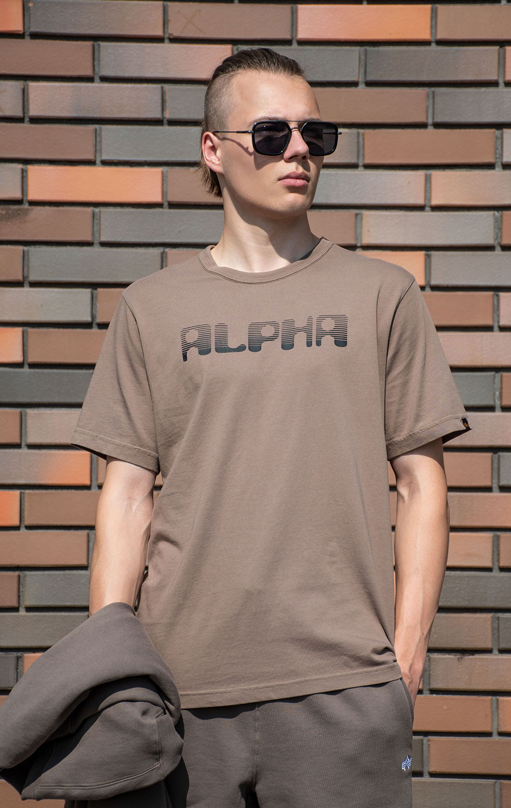 Футболка ALPHA INDUSTRIES ALPHA LOGOS TEE плотная FW 24/25 coyote brown 