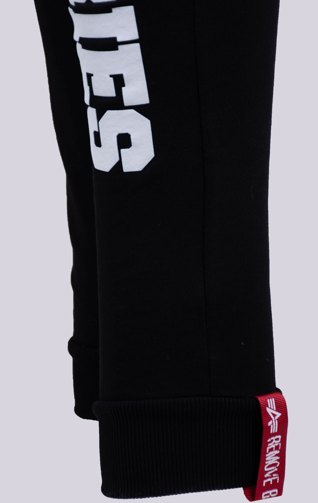 Брюки спортивные джоггеры ALPHA INDUSTRIES BIG LETTERS JOGGER black 