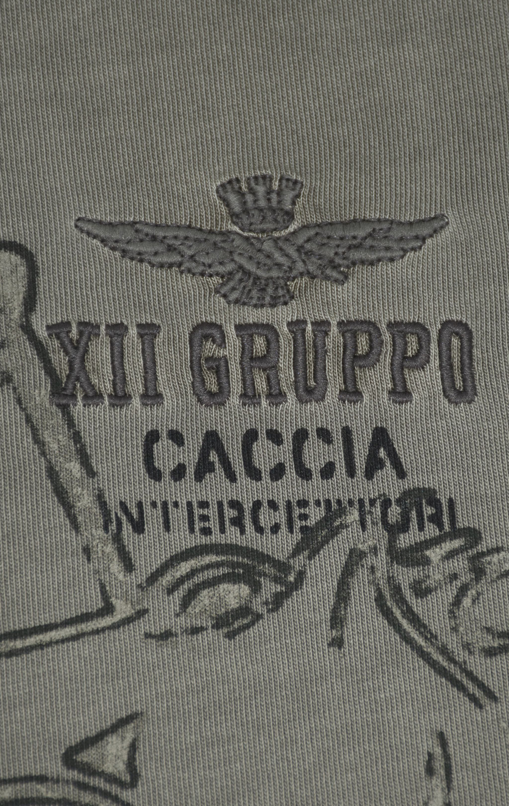 Футболка AERONAUTICA MILITARE FW 24/25/TR light mud washed (TS 2338) 